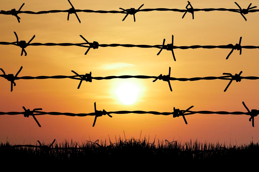 How Can We Enhance the Asylum System?
