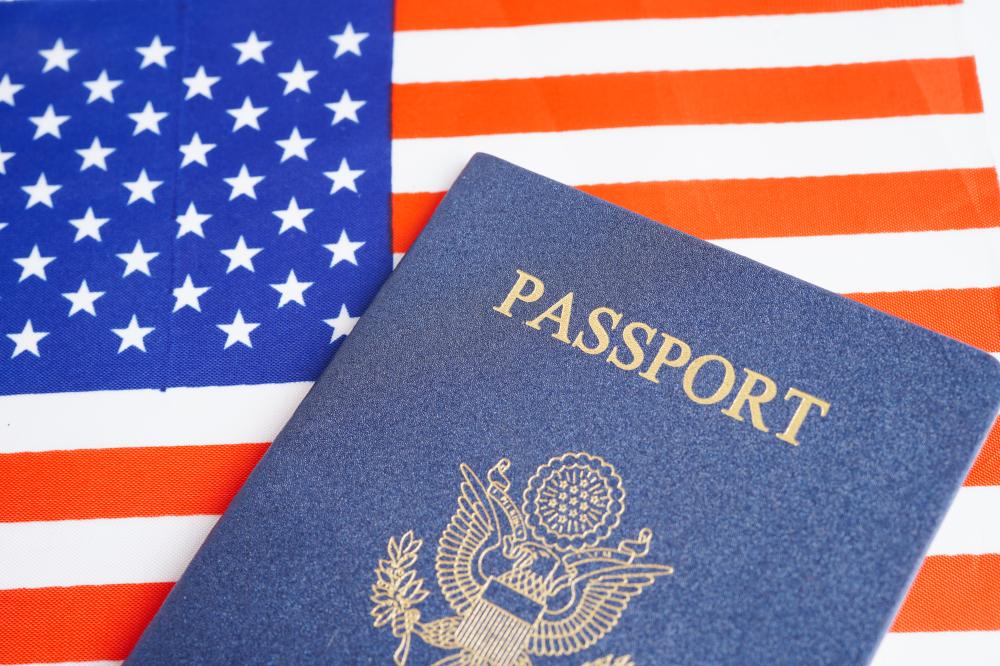 What Threats Face Border Security USA?